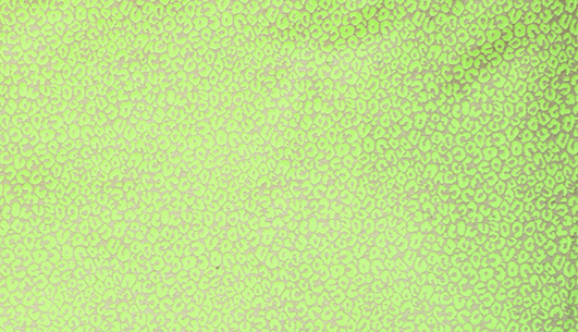 豹点提花面料F05179