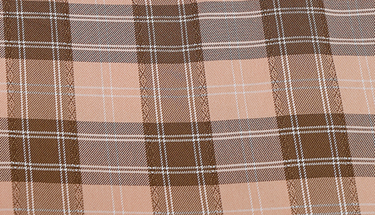 色织格子面料F04443